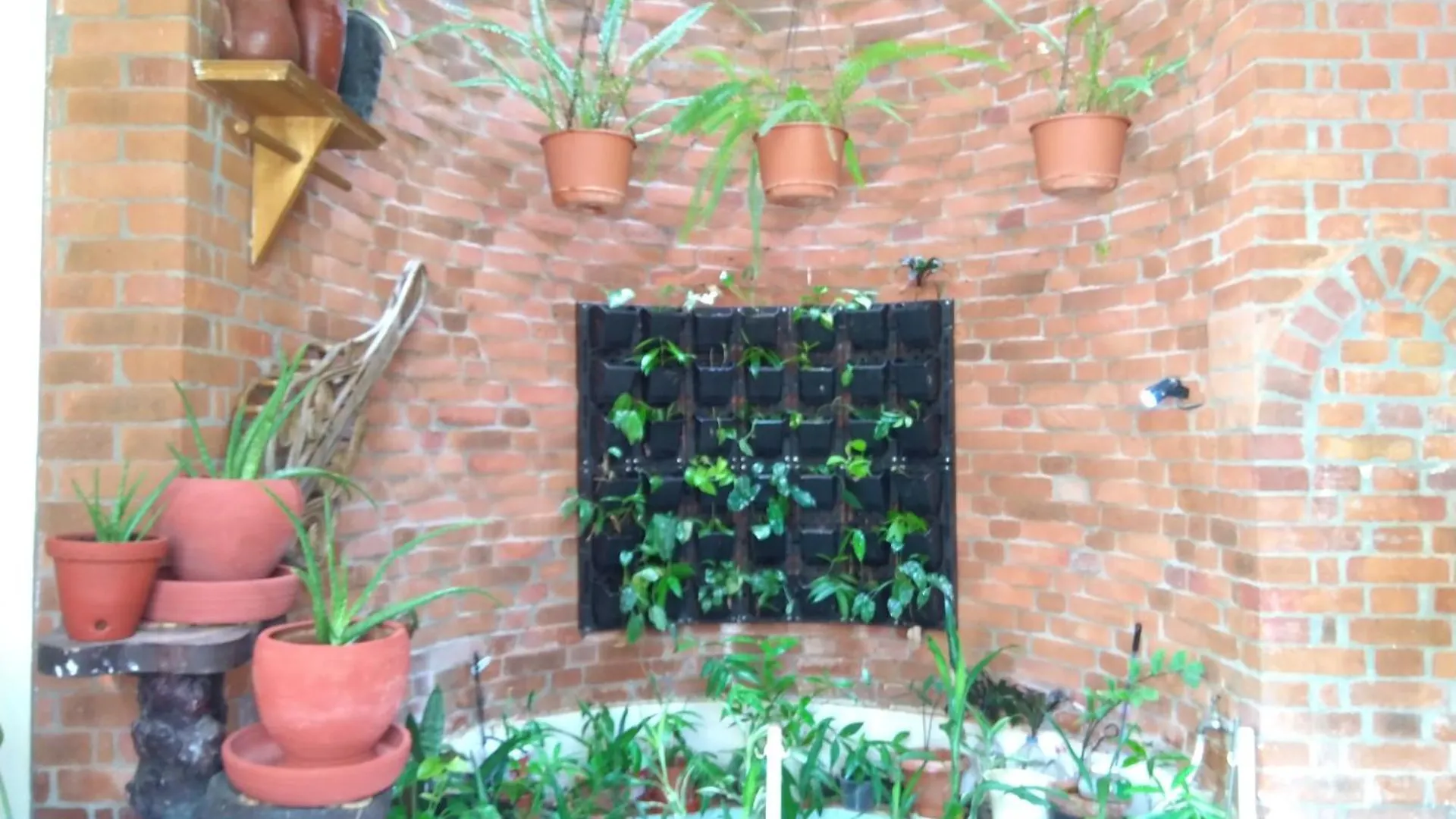 Villa Independent House In The Heart Of Kochi